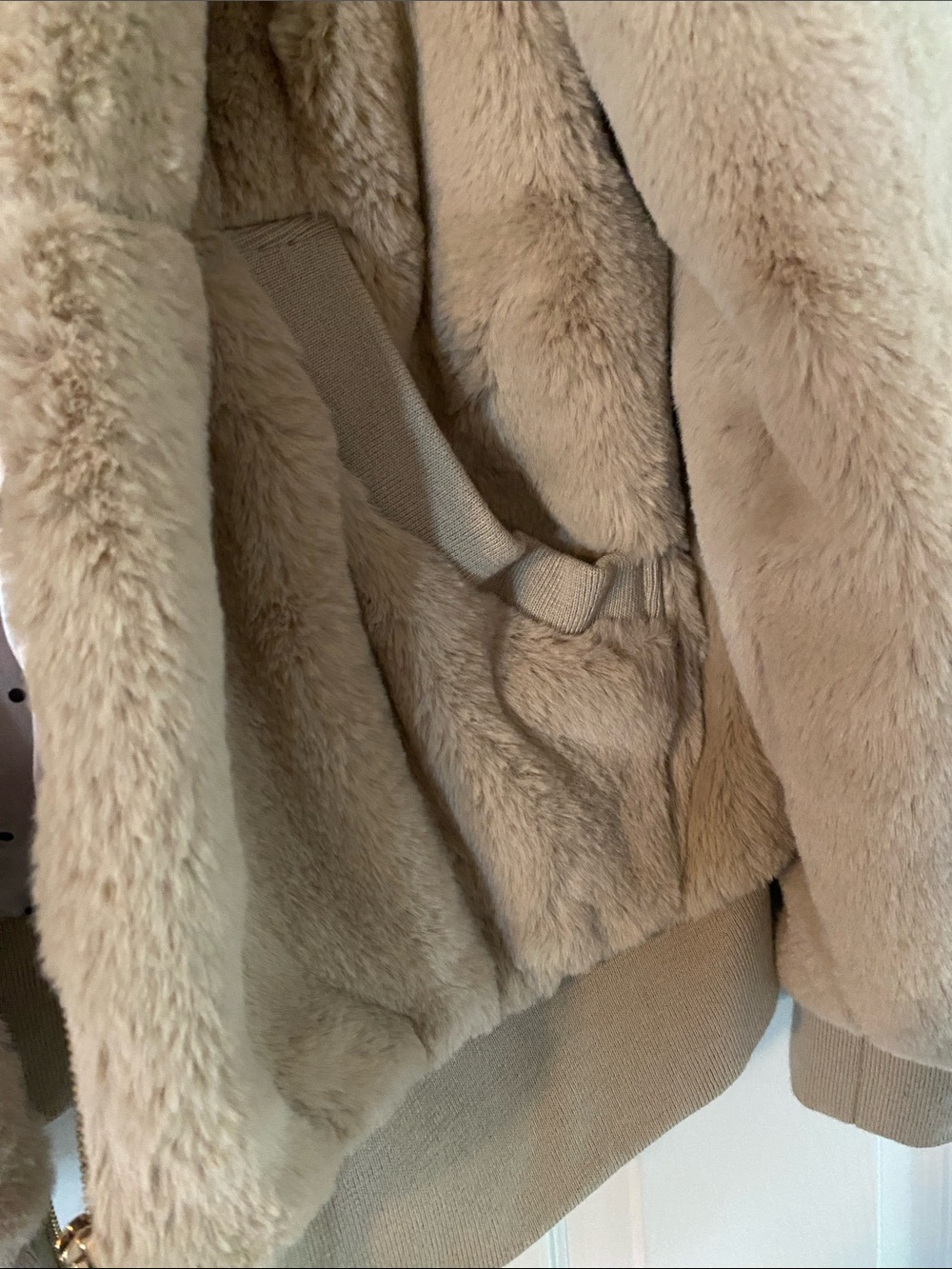 Ashley By 26 International Plush Hooded Teddy Coat in Light Taupe - Picture 3 of 7